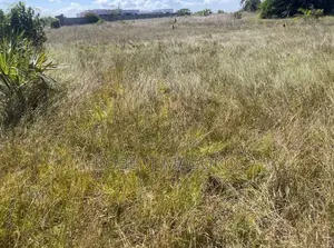 Plot for Sale