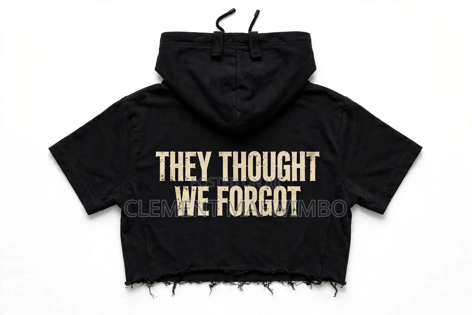 They Thought We Forgot (Ttwf)