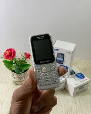 New Samsung B310