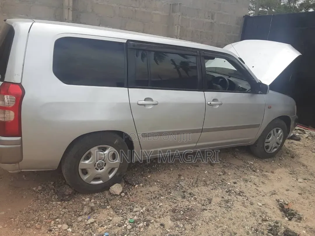Toyota Probox 2006 Silver