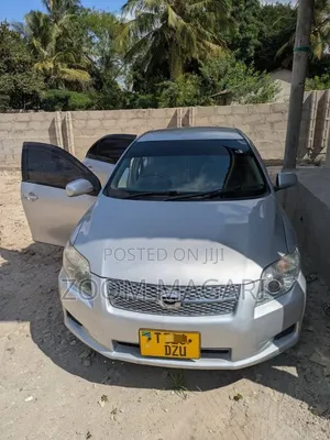 Toyota Axio 2006 Silver