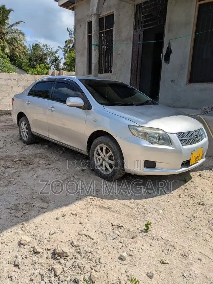 Toyota Axio 2006 Silver