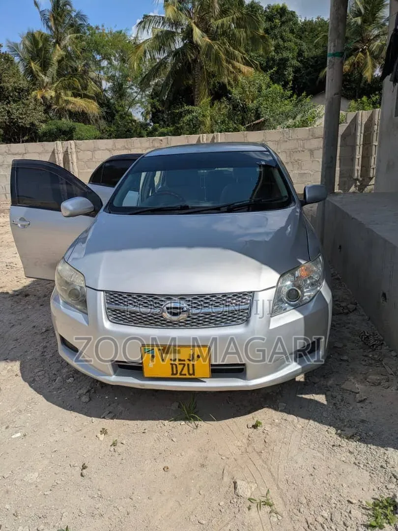Toyota Axio 2006 Silver
