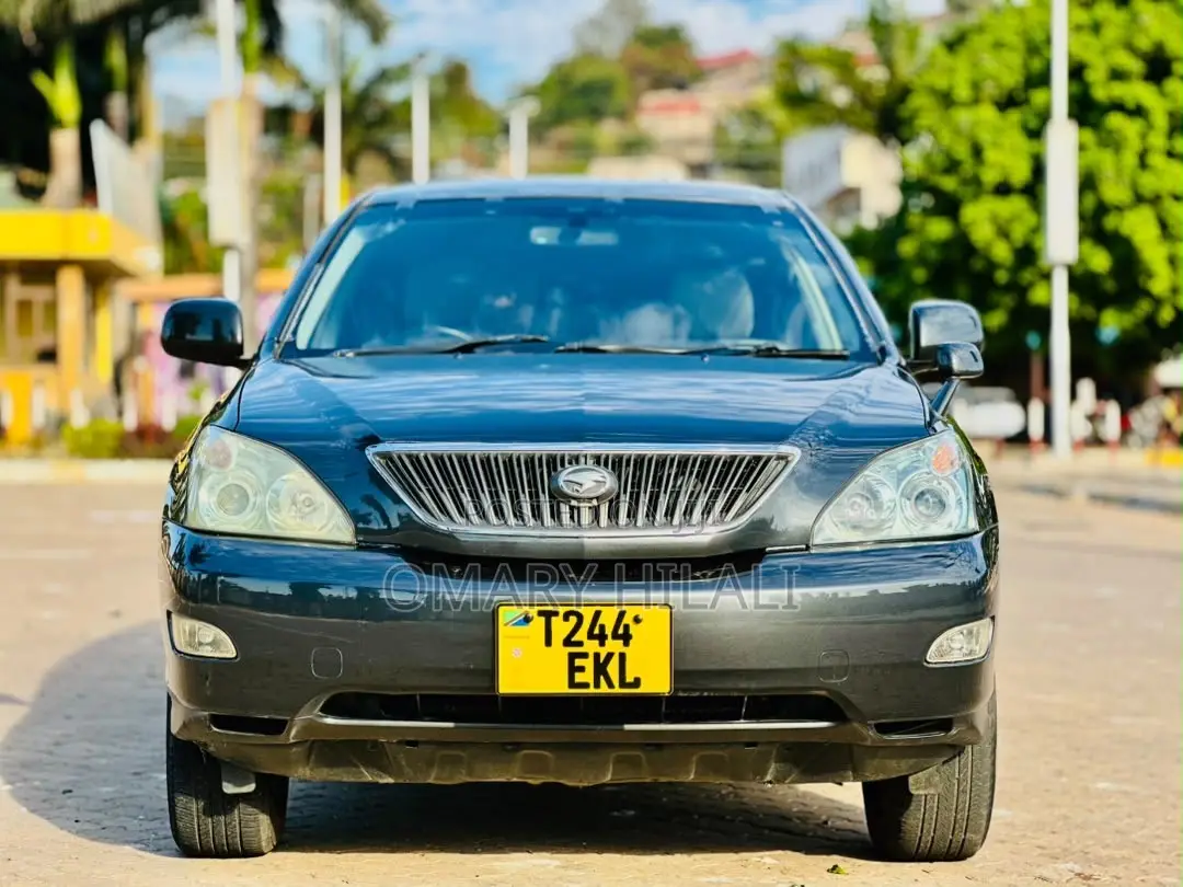 Toyota Harrier 2006 Gray