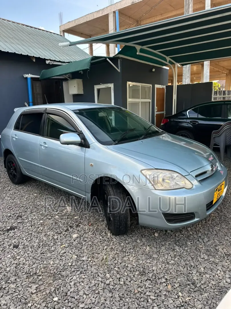 Toyota Corolla RunX 2004 Blue