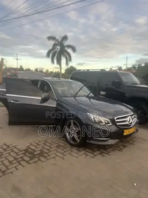 Mercedes-Benz E250 SV Premium 2014 Gray