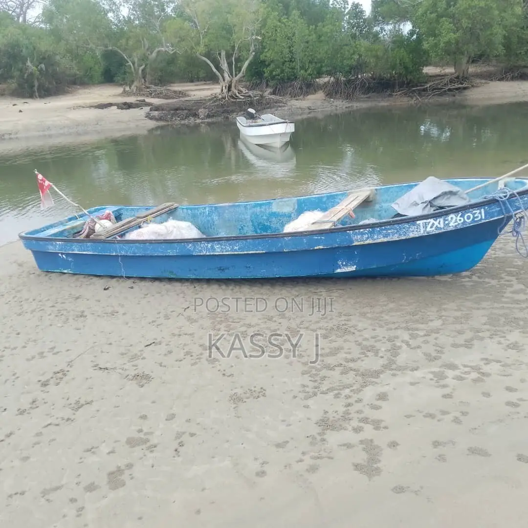 20 Ft Fiberglass Boat