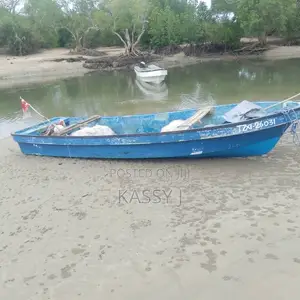 20 Ft Fiberglass Boat