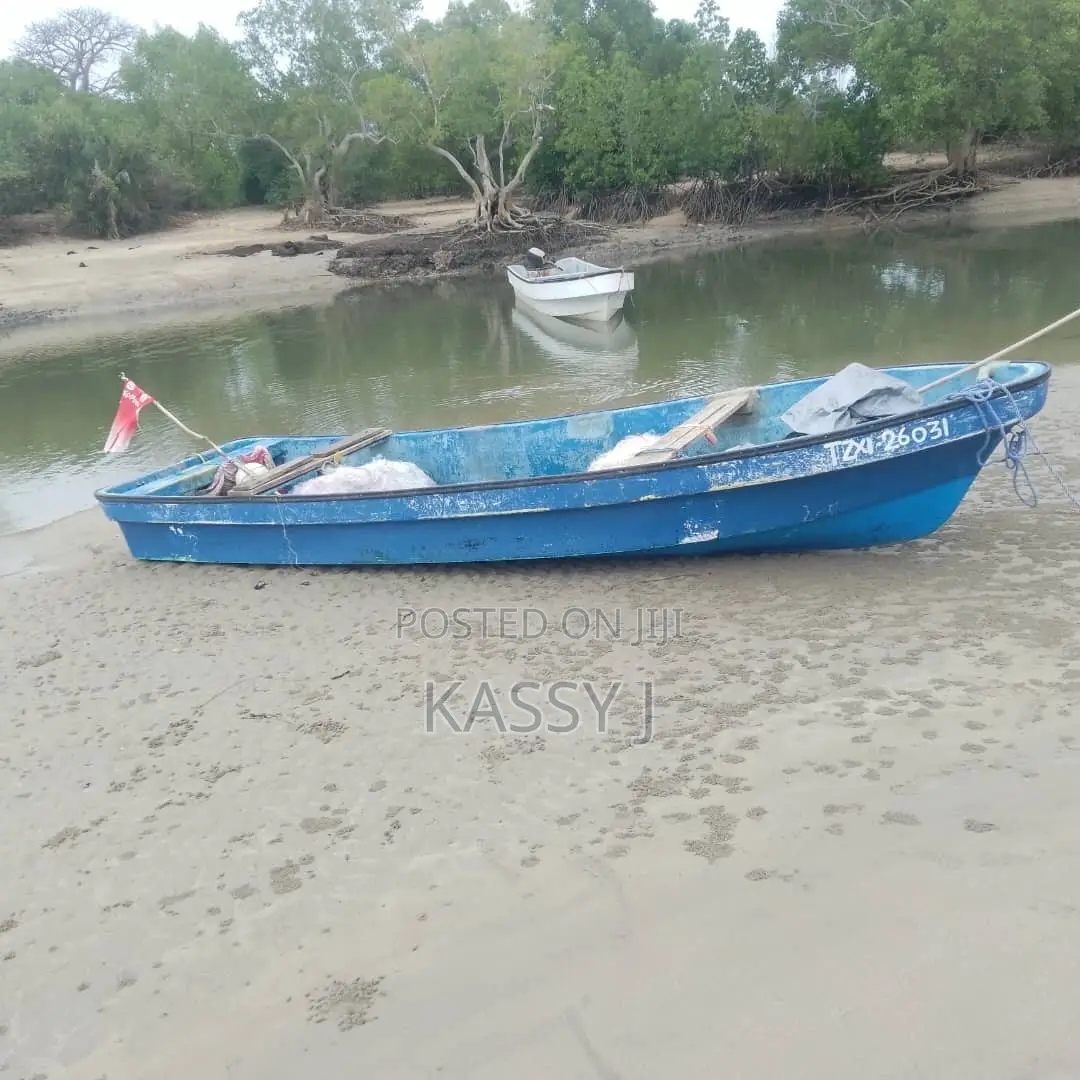 20 Ft Fiberglass Boat