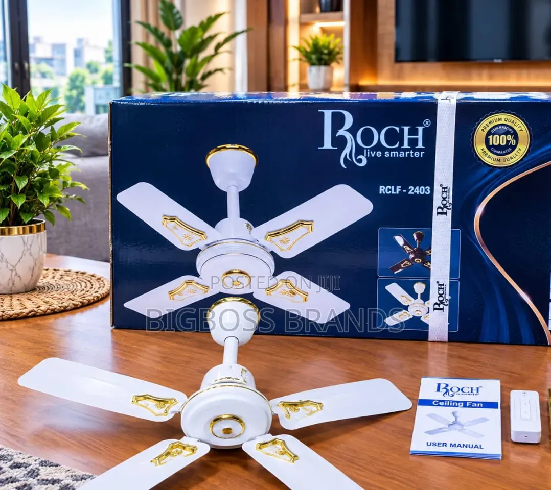Roch Ceiling Fan24 Inches [Panga Boy Size 24]
