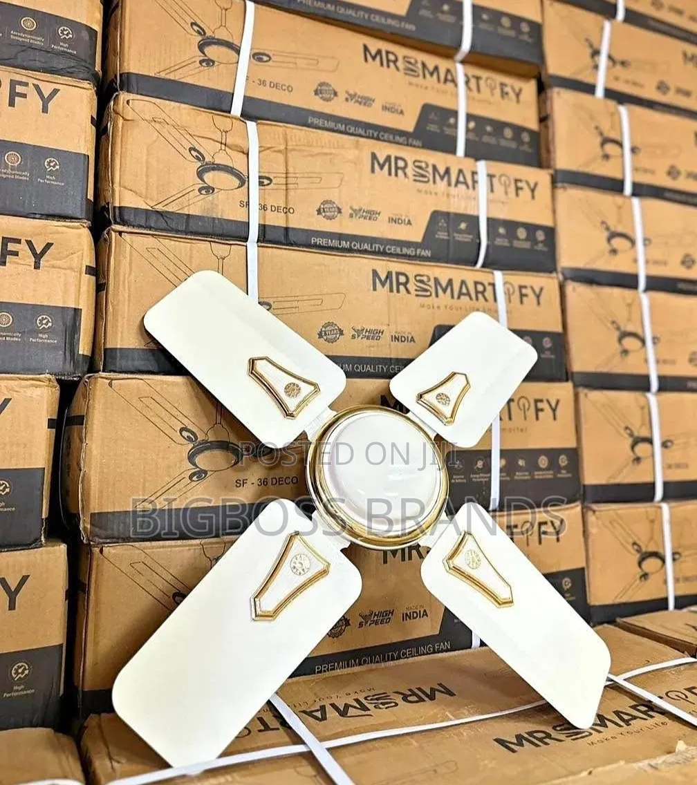 Smartfy Ceiling Fan 24 Size [Fan Dogo]