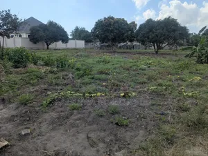 Eneo Linauzwa