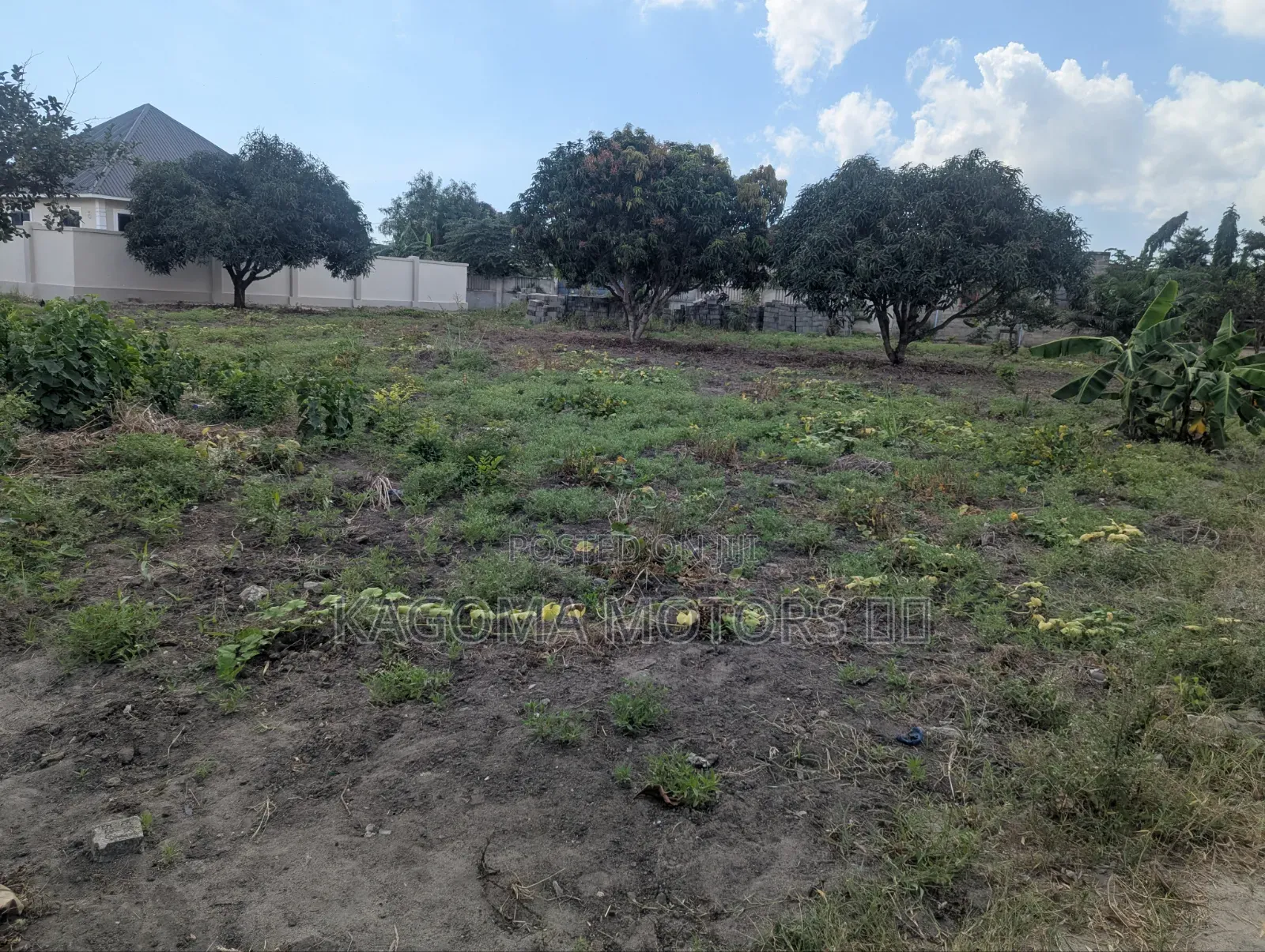 Eneo Linauzwa