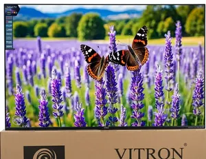 Vitron 55-Inch Smart VIDAA TV