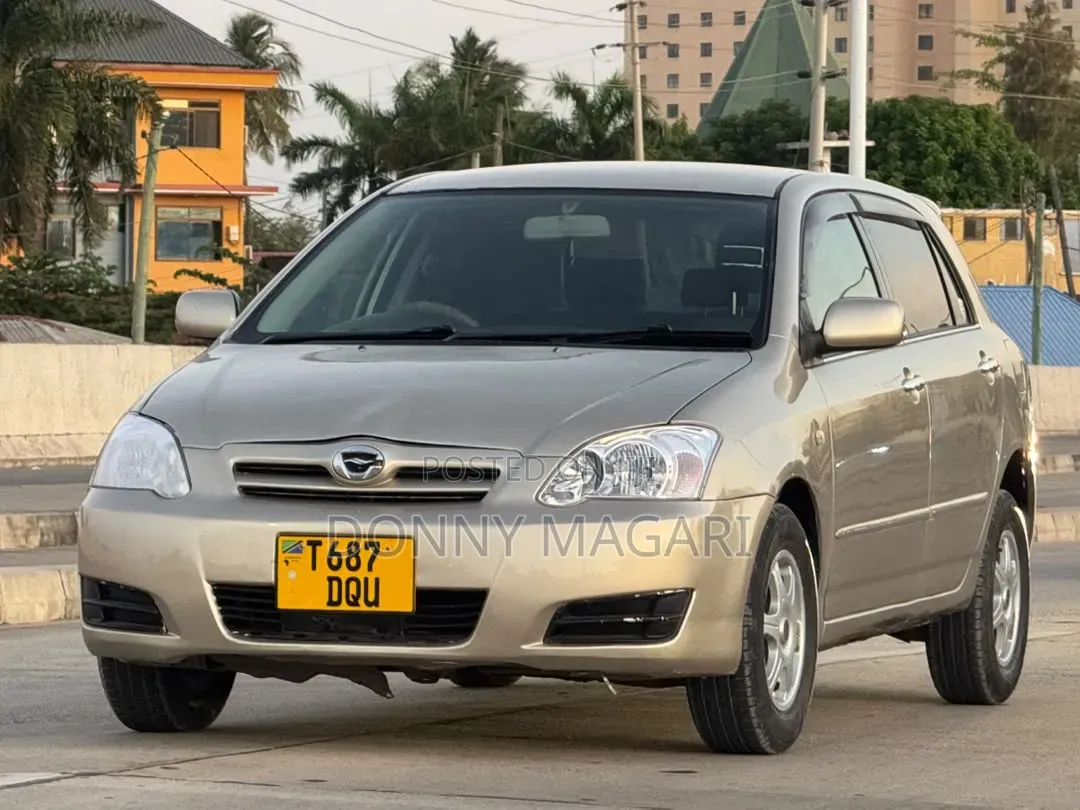 Toyota Allex 2003 Silver