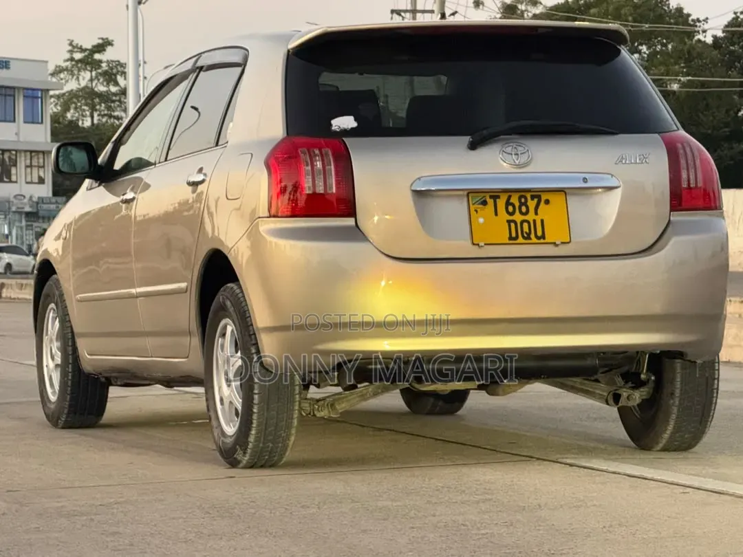 Toyota Allex 2003 Silver