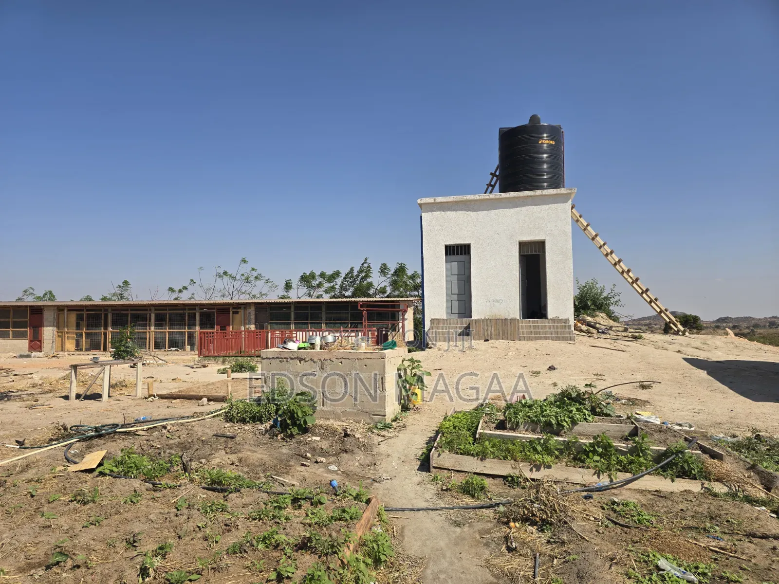 Shamba Linauzwa Dodoma Mpunguzi Lina Miundombinu Ya Maji,sola,nyumba