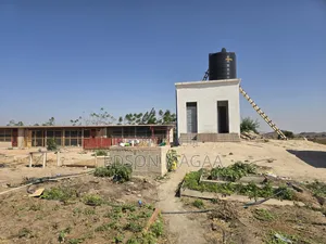 Shamba Linauzwa Dodoma Mpunguzi Lina Miundombinu Ya Maji,sola,nyumba