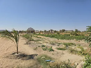 Shamba Linauzwa Dodoma Mpunguzi Lina Miundombinu Ya Maji,sola,nyumba
