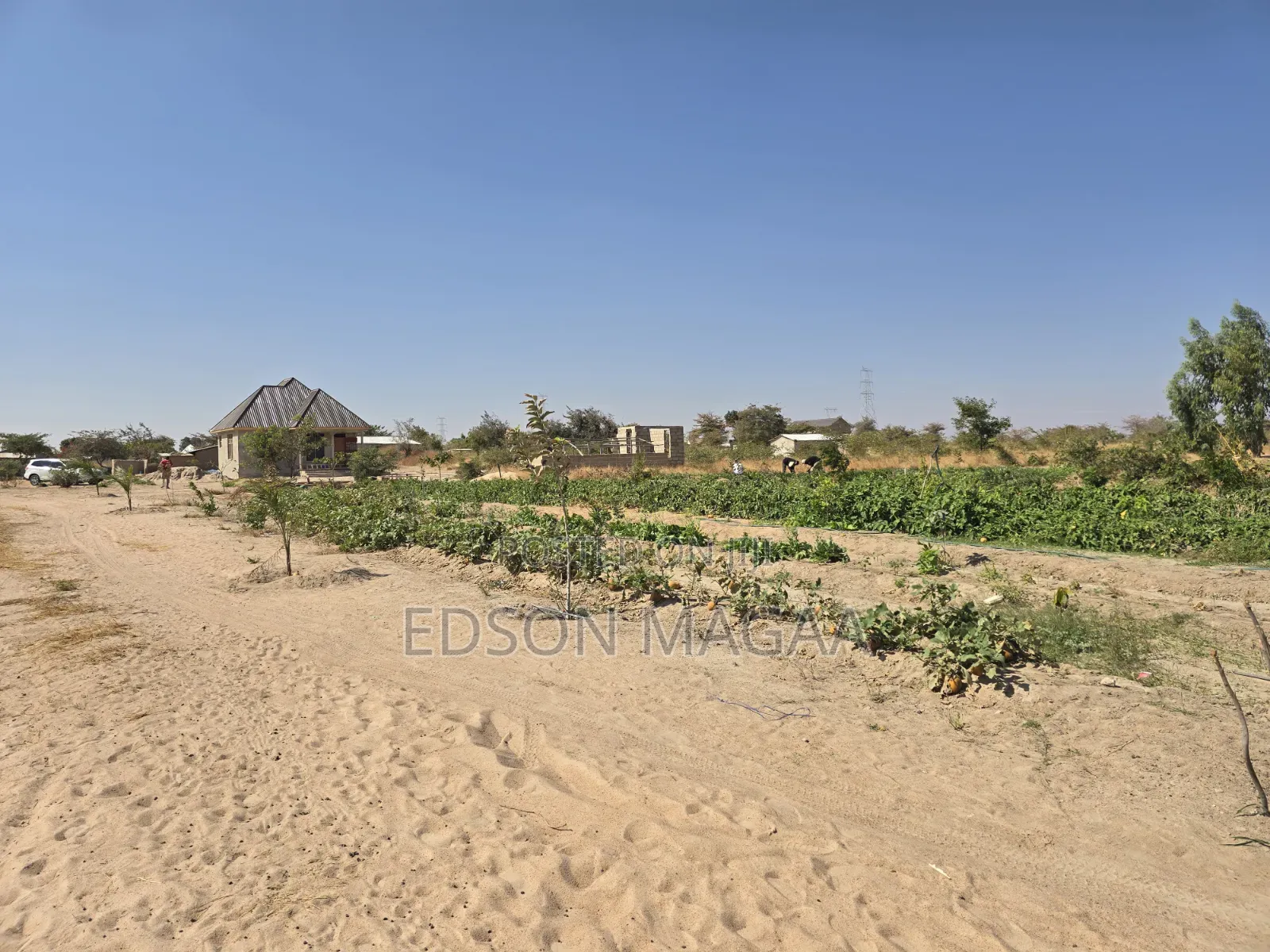Shamba Linauzwa Dodoma Mpunguzi Lina Miundombinu Ya Maji,sola,nyumba