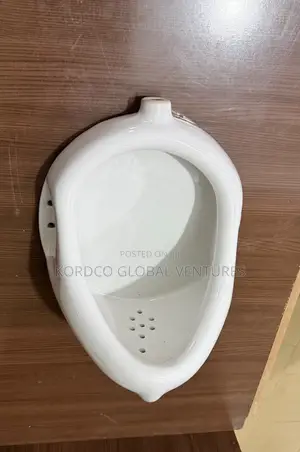Urinal Bowl