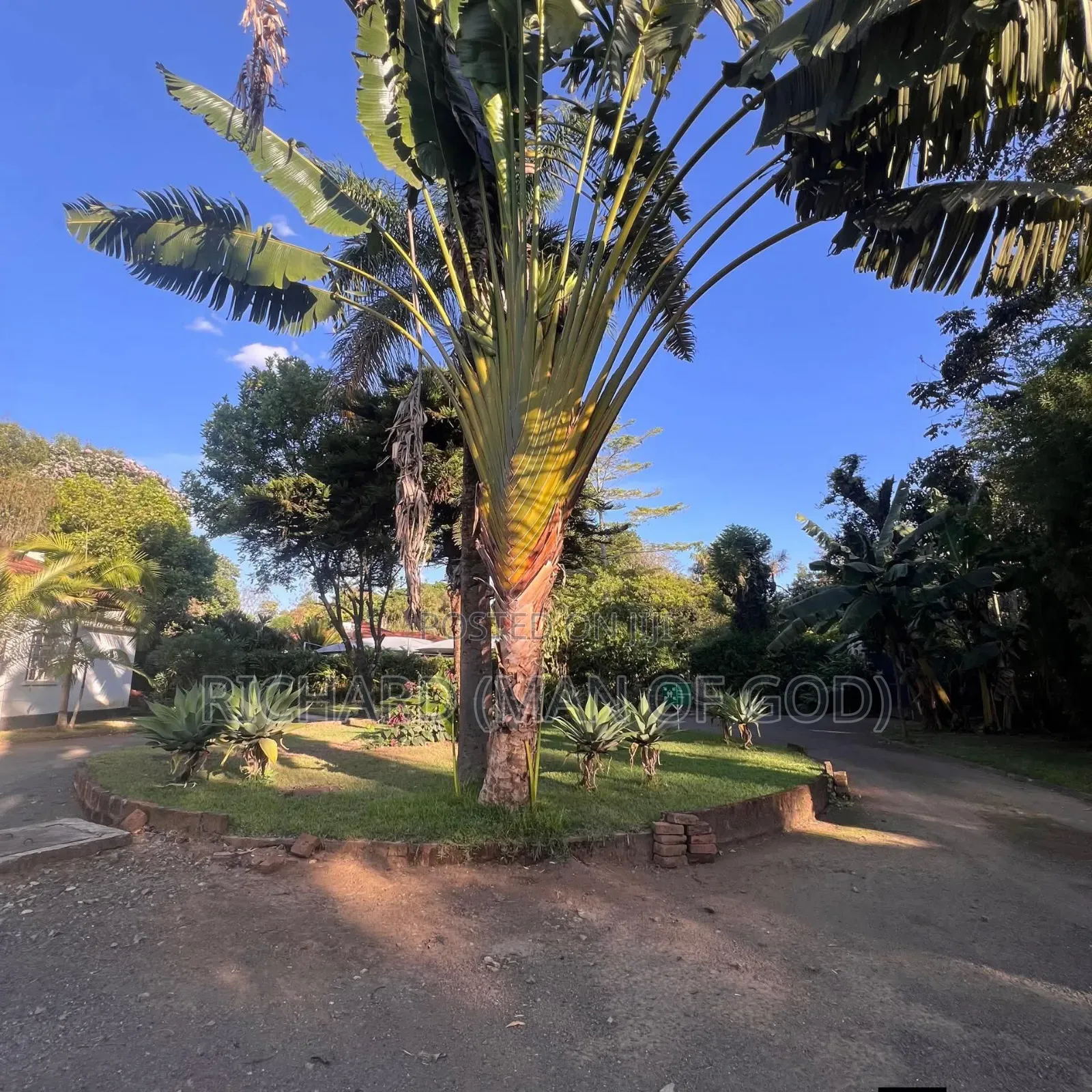 5bdrm Bungalow in Arusha for rent