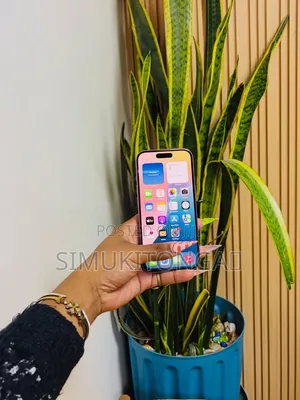 New Apple iPhone 16 128 GB Pink