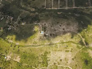 Kibamba Farm