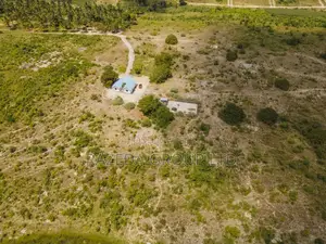 Kibamba Farm