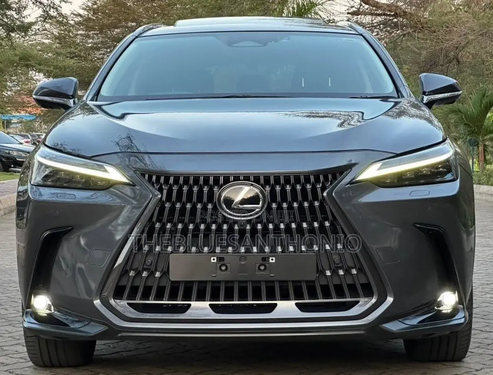 Lexus NX 2022 Gray