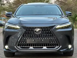 Lexus NX 2022 Gray
