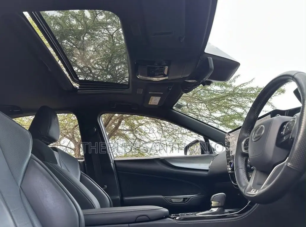 Lexus NX 2022 Gray