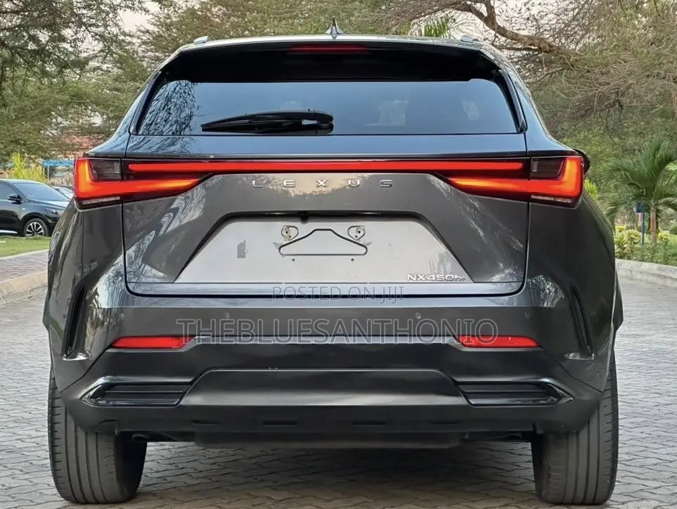 Lexus NX 2022 Gray