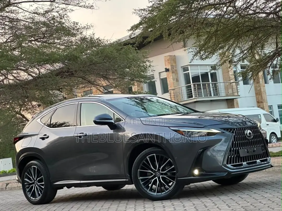 Lexus NX 2022 Gray