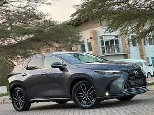 Lexus NX 2022 Gray