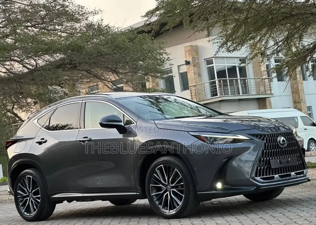 Lexus NX 2022 Gray