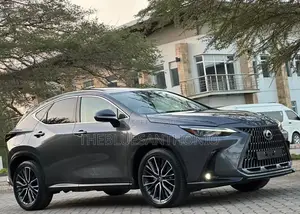 Lexus NX 2022 Gray