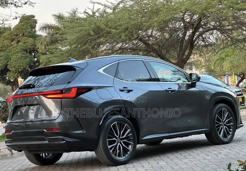 Lexus NX 2022 Gray