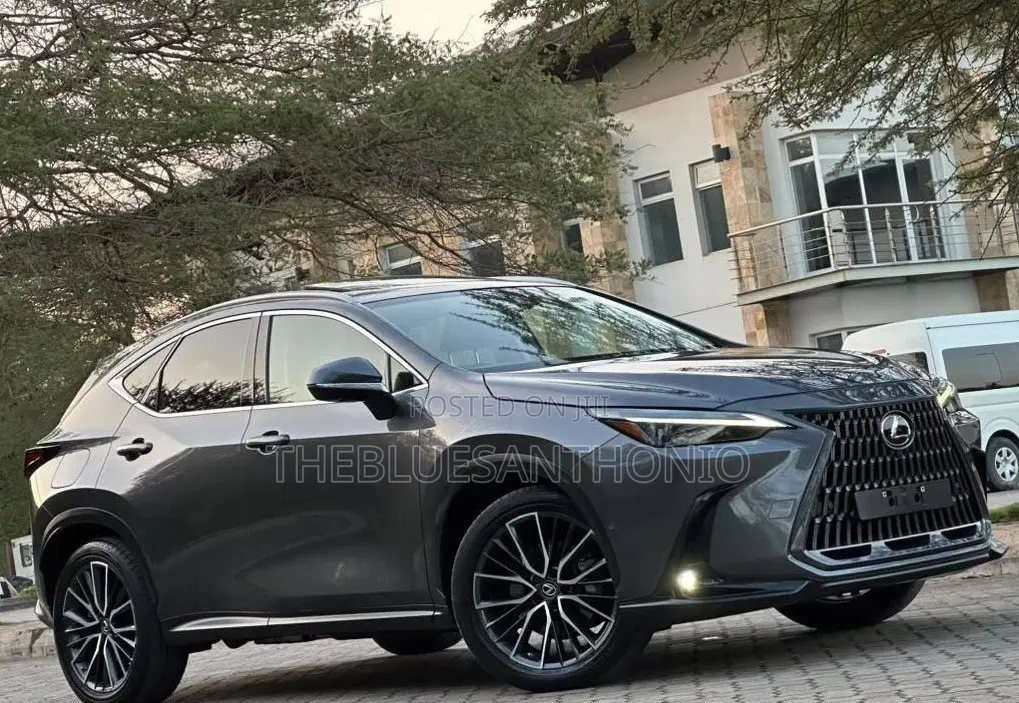 Lexus NX 2022 Gray