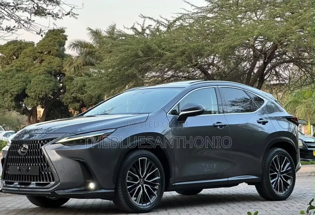 Lexus NX 2022 Gray