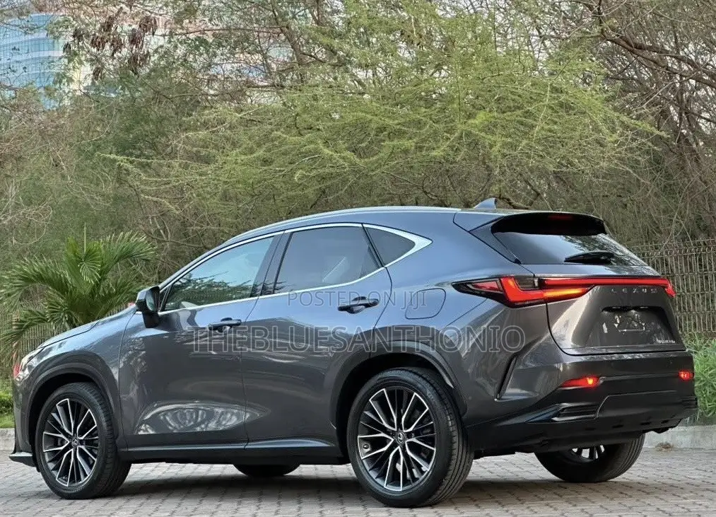 Lexus NX 2022 Gray