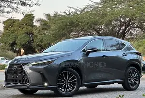 Lexus NX 2022 Gray