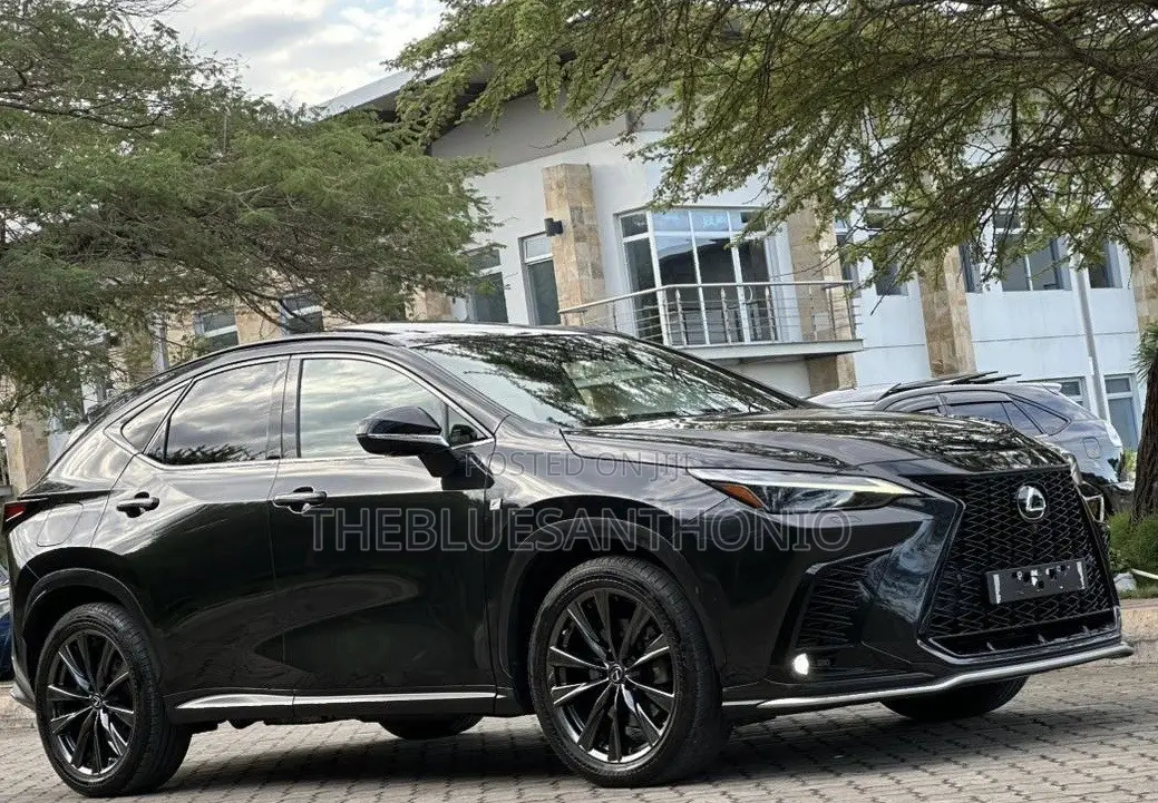Lexus NX 2022 Black