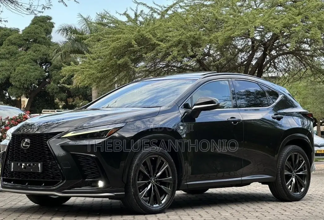Lexus NX 2022 Black