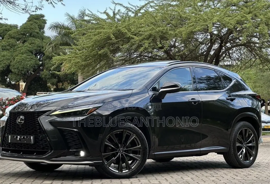 Lexus NX 2022 Black