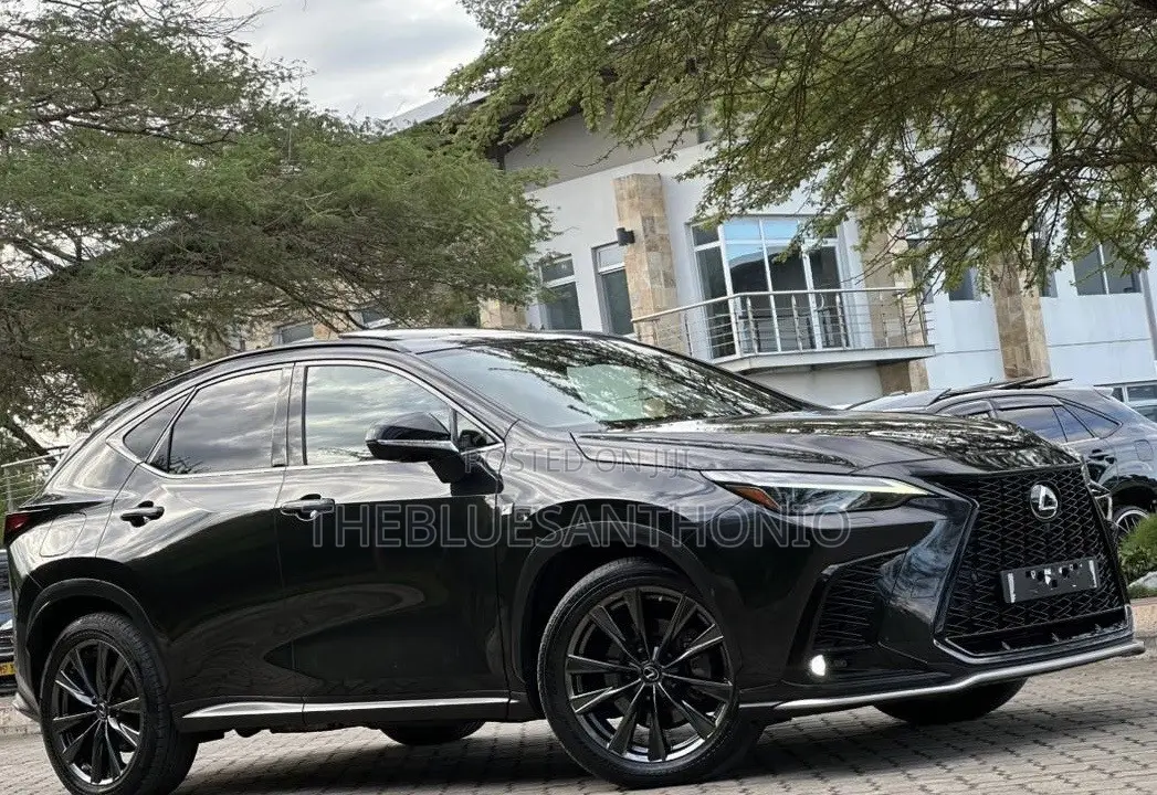 Lexus NX 2022 Black