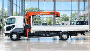 Mitsubishi FUSO Fighter Crane