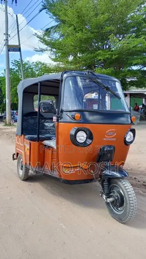 New Tricycle 2026