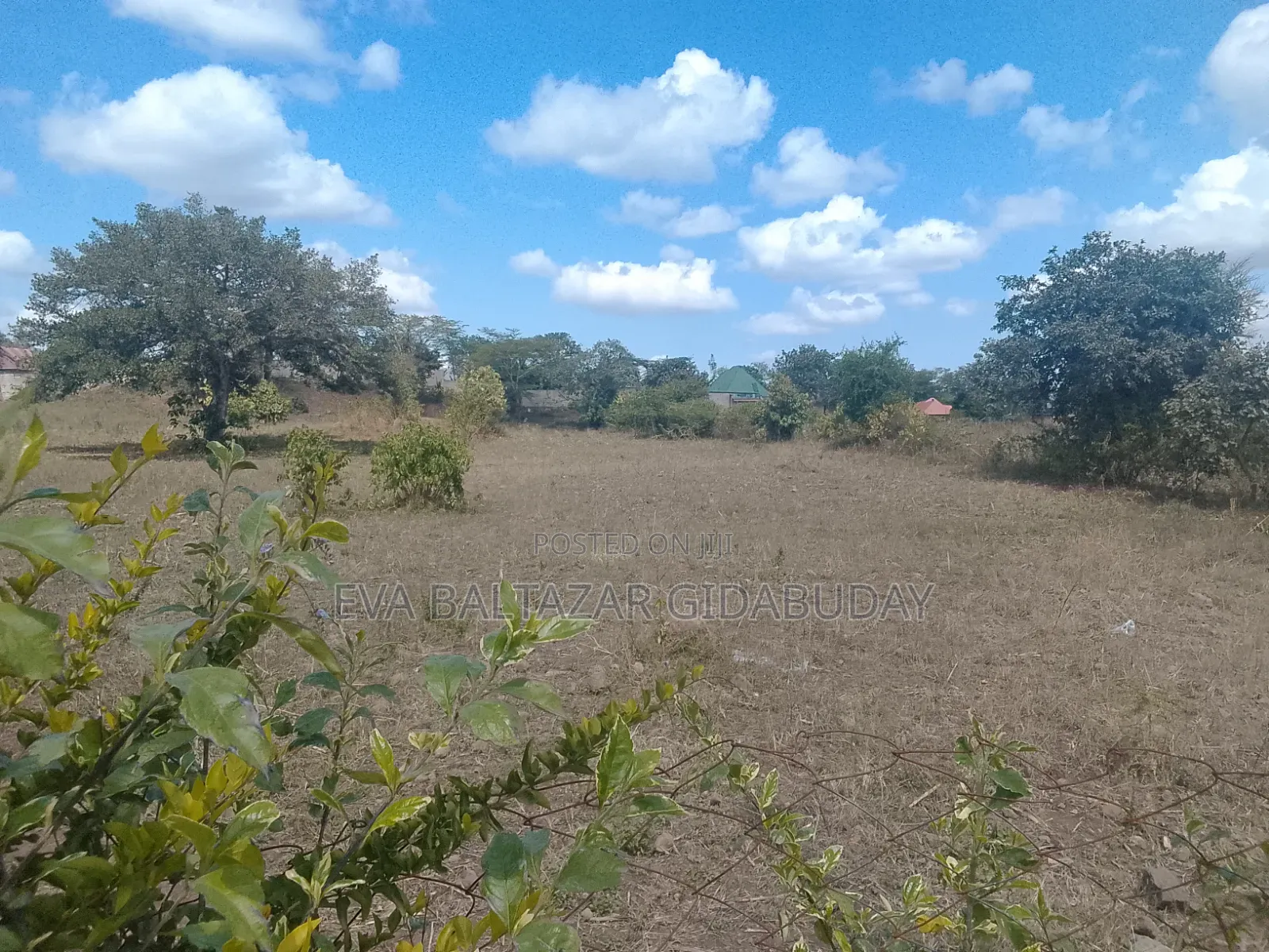 Plot for Sale