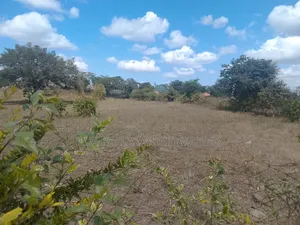 Plot for Sale